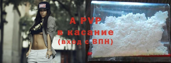 Альфа ПВП Белокуриха