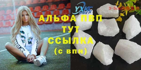 Альфа ПВП Белокуриха