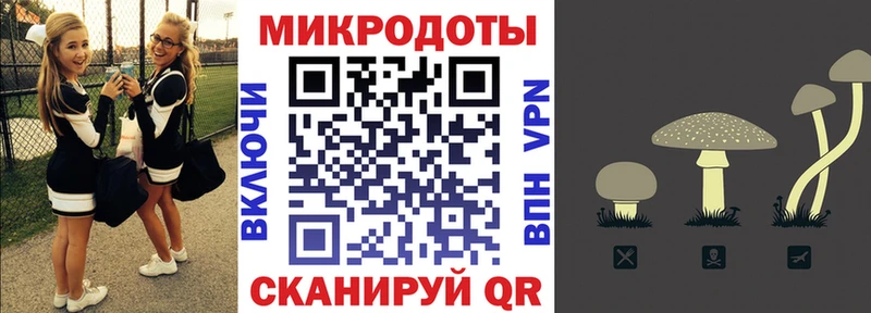 где купить   Яранск  Галлюциногенные грибы ЛСД 